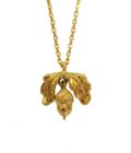 Acorn Gold